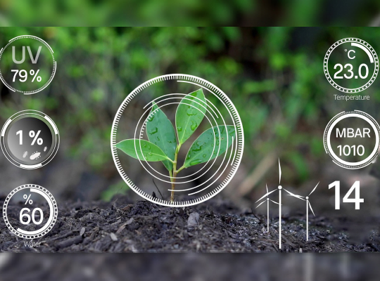 Цифровое сельское хозяйство не роскошь, а необходимость: взгляд изнутри