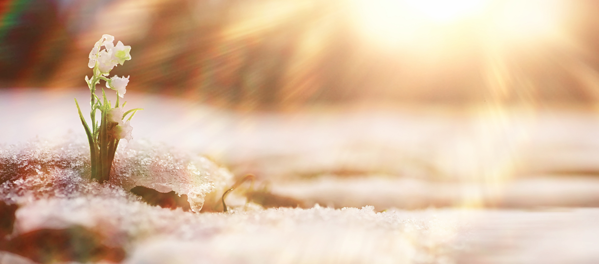 Весенняя встреча руководителей маркетинга ИТ-компаний