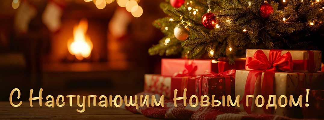 С наступающим 2026 годом! Вспомним лучшие материалы 2025